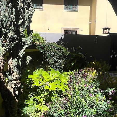 Loquat House Nel Giardino Segreto In Zona Vaticano Rome Bagian luar foto