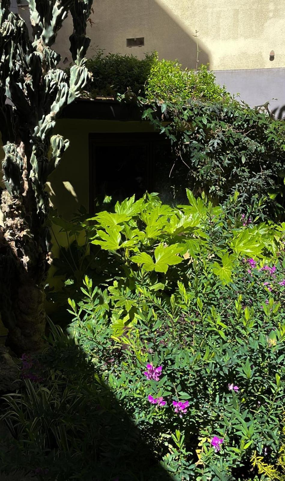 Loquat House Nel Giardino Segreto In Zona Vaticano Rome Bagian luar foto