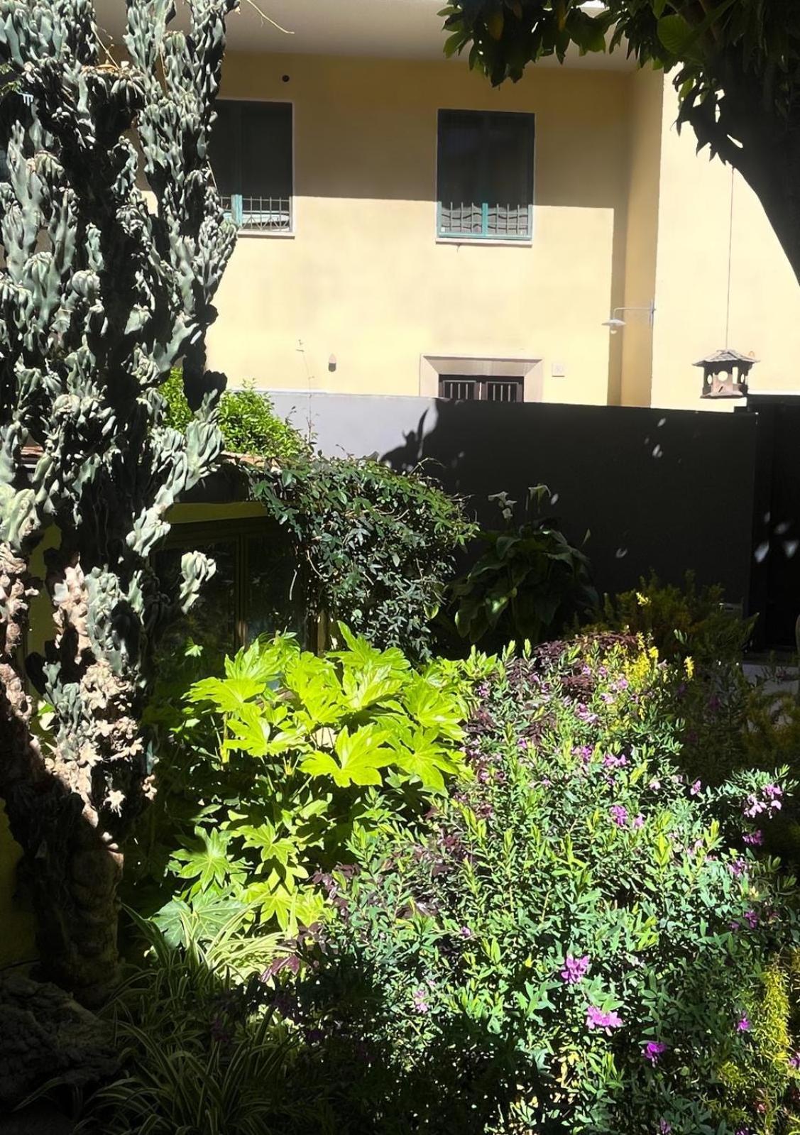 Loquat House Nel Giardino Segreto In Zona Vaticano Rome Bagian luar foto